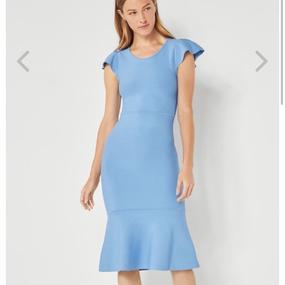 BCBGMaxAzria Blue Ruffle Sleeve Dress - Picture 8 of 11